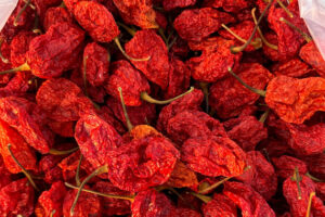 Indian dry red chilli suppliers