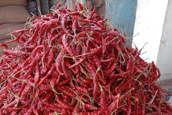 Lavangi