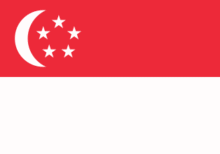 Trusted chilli supplier for international importers