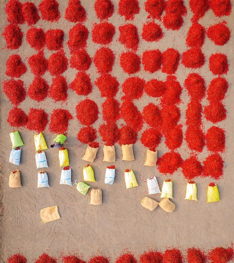 types-of-red-chillies
